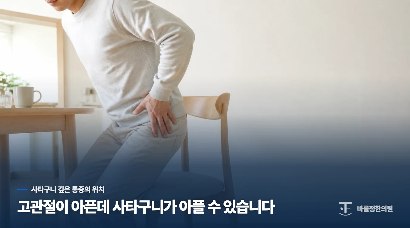 고관절이 아픈데 사타구니가 아플 수 있습니다