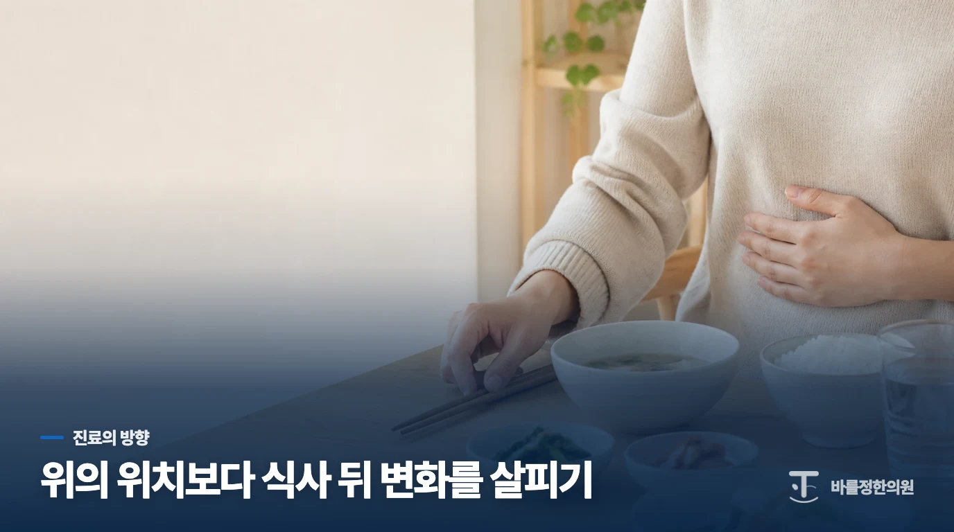 위의 위치와 소화 부담을 따로 좁혀 봅니다