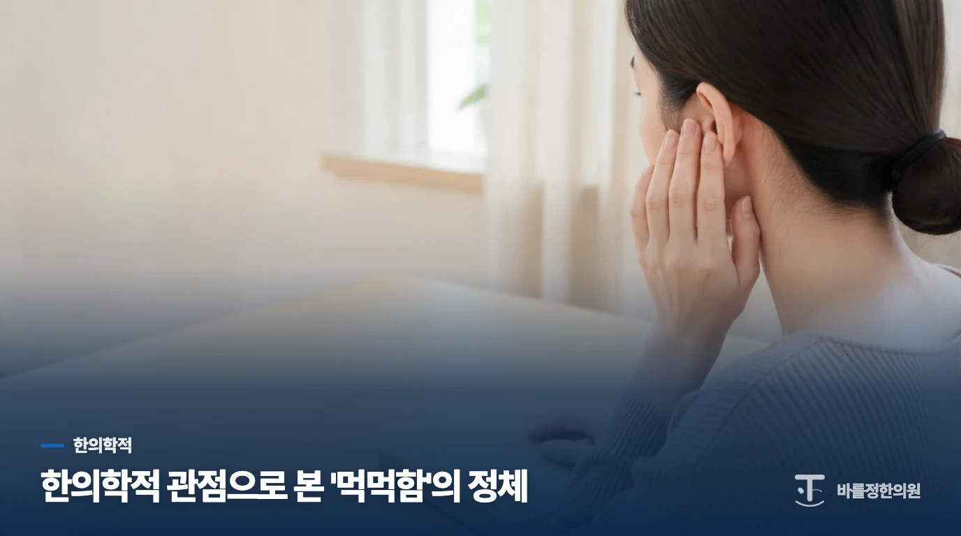 한의학적 관점으로 본 '먹먹함'의 정체