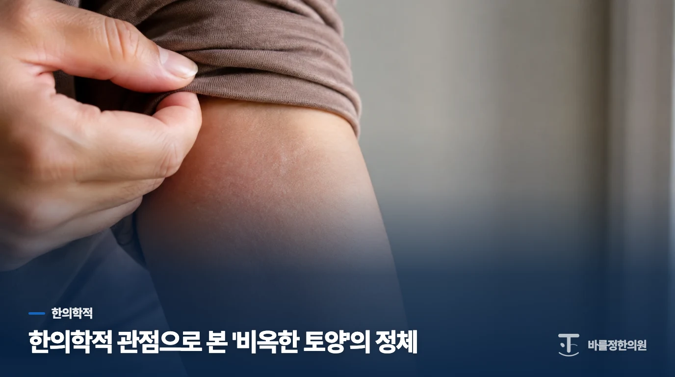 한의학적 관점으로 본 '비옥한 토양'의 정체