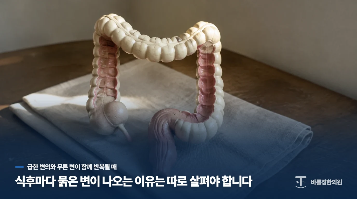 식후마다 묽은 변이 나오는 이유는 따로 살펴야 합니다