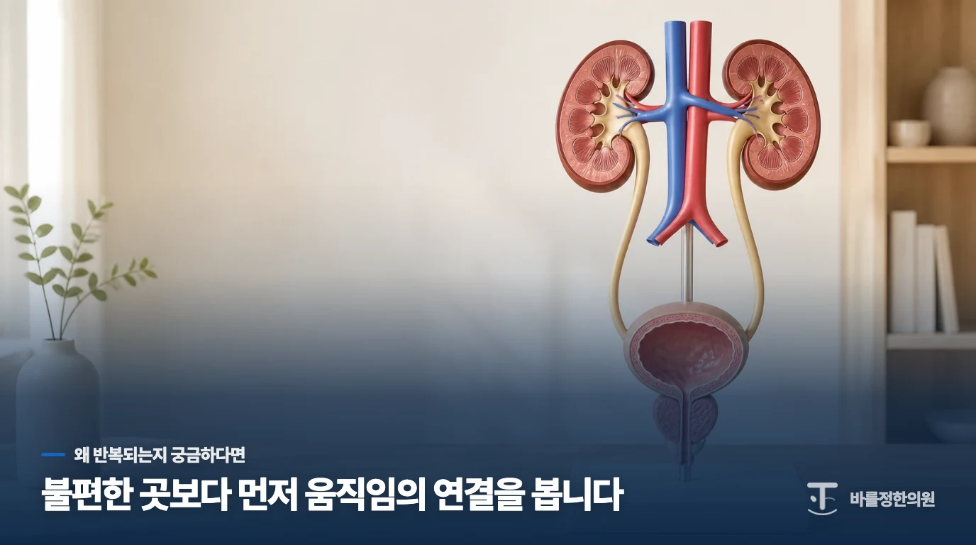 자극적인 음식이 전립선 주변 환경에 영향을 주는 이유입니다