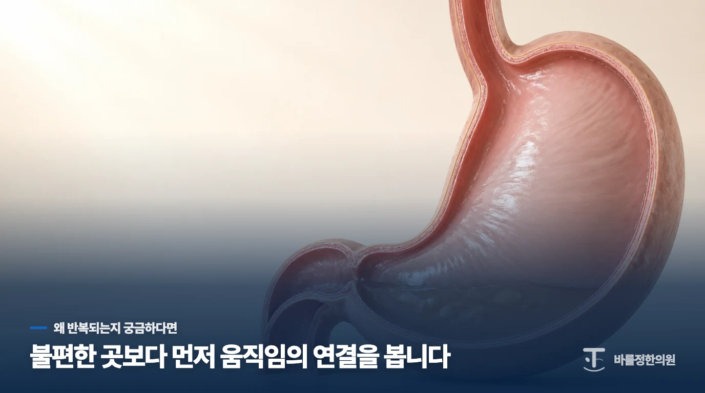 아이의 위장 기능이 성장의 엔진인 이유를 알려드릴게요.
