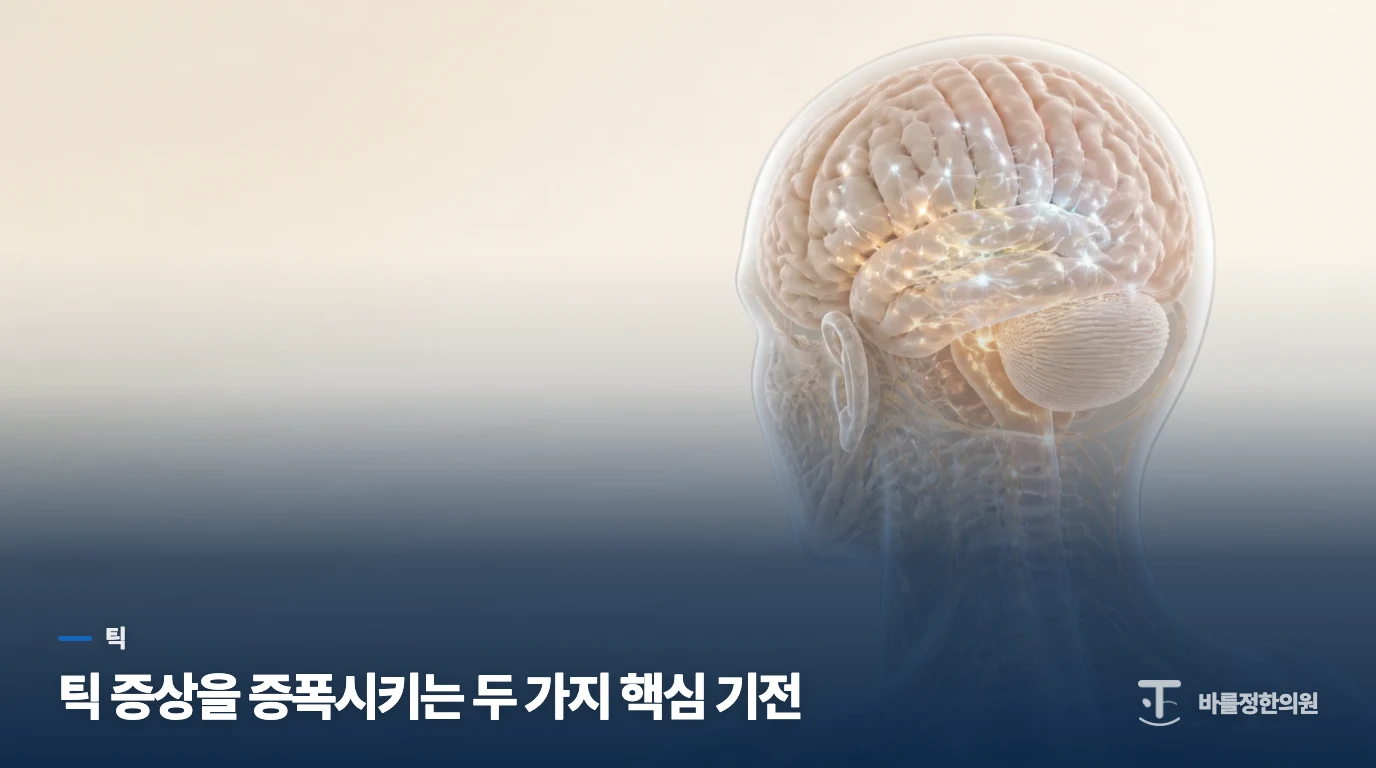 틱 증상을 증폭시키는 두 가지 핵심 기전