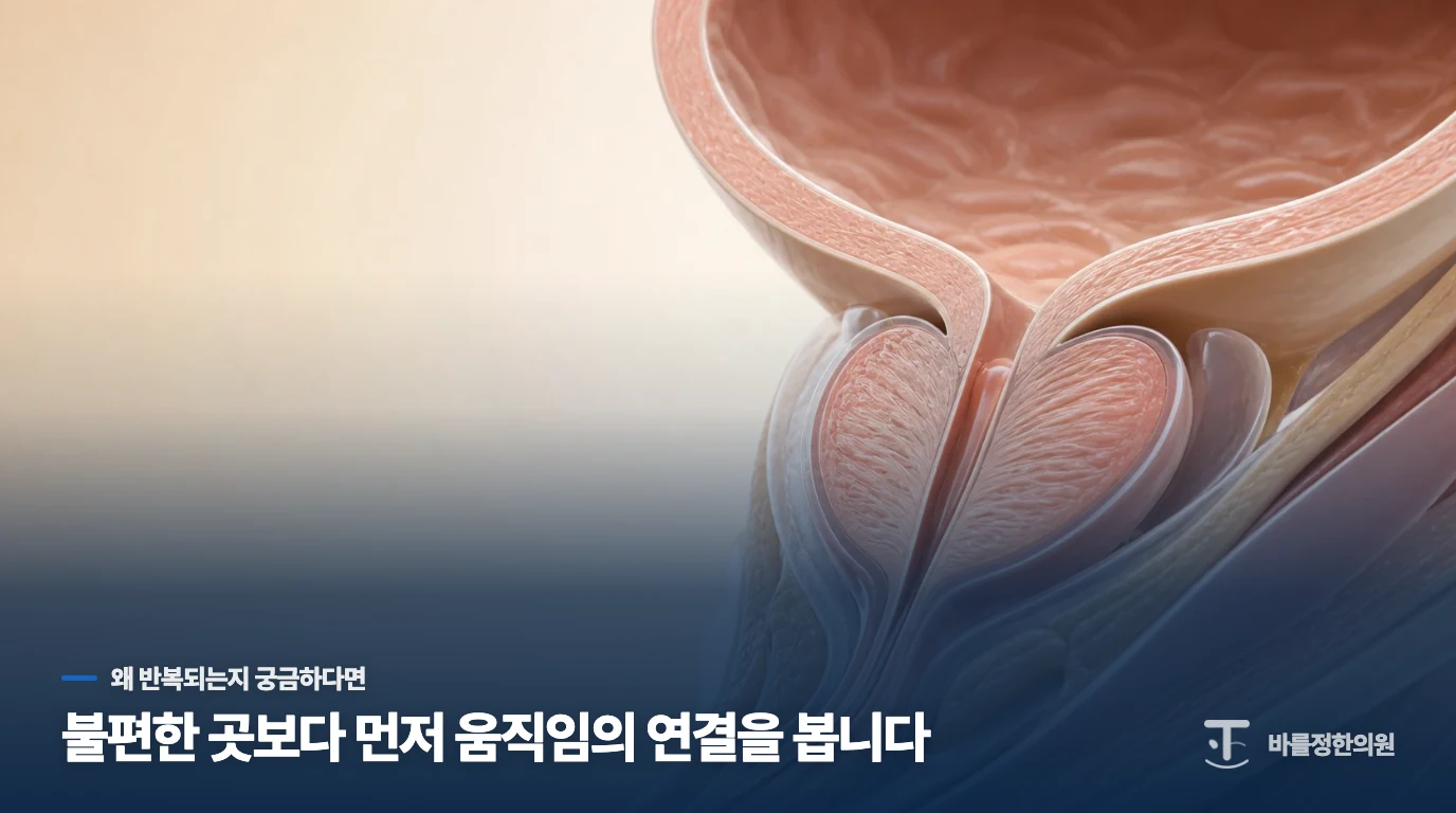 술 마신 다음 날이면 소변보는 게 힘들고 회음부가 뻐근한데 왜 그럴까요?