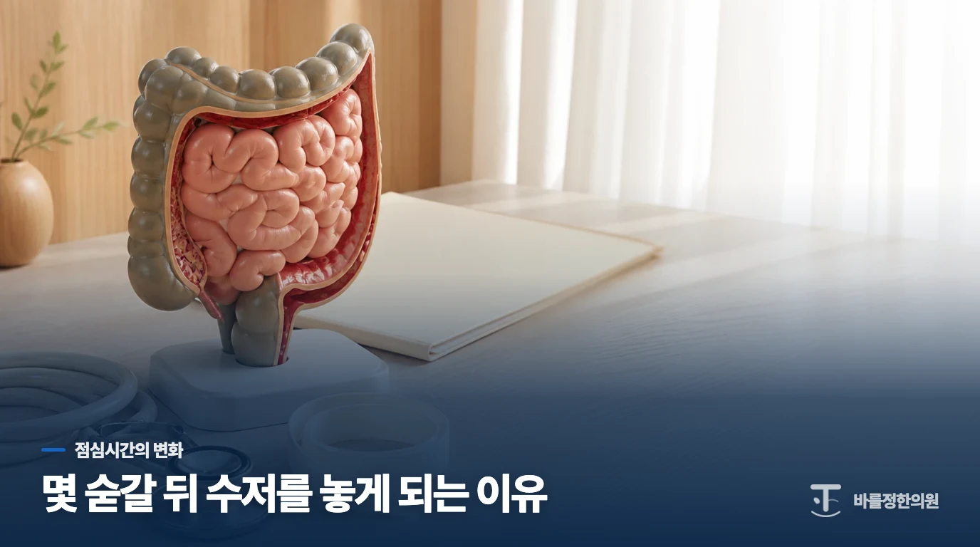 도시락 반도 못 먹고 수저를 놓는 점심