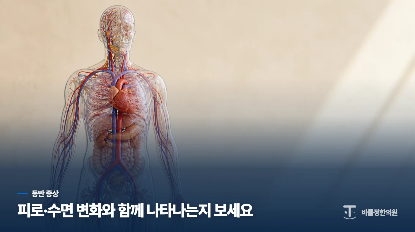 피로·수면·불안이 함께 나타나는지 살펴야 하는 이유
