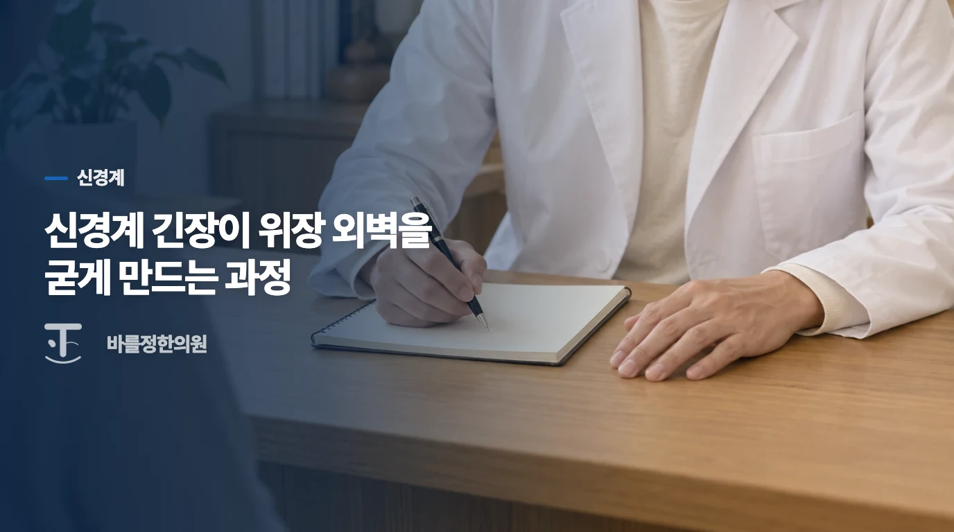 신경계 긴장이 위장 외벽을 굳게 만드는 과정