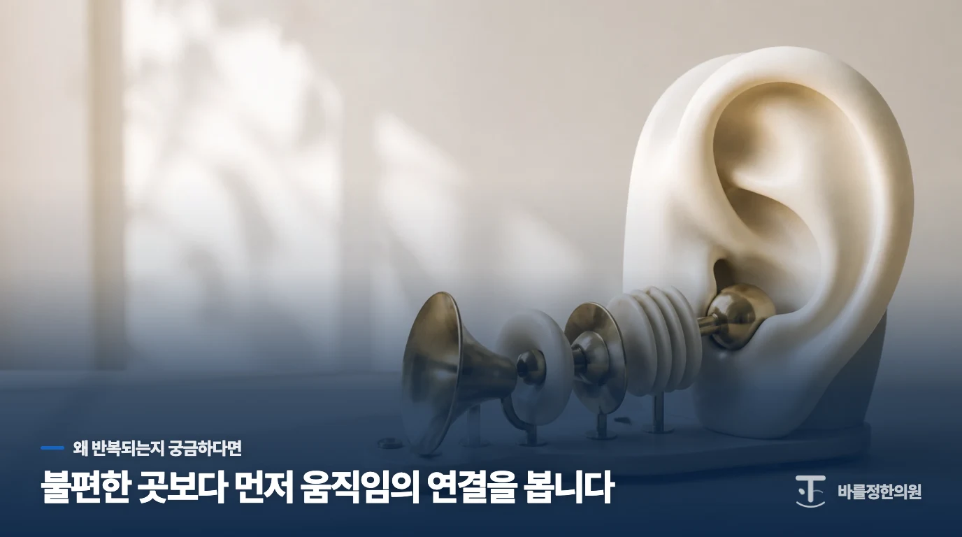 스트레스와 감정의 변화가 귀의 소리로 이어지는 이유입니다