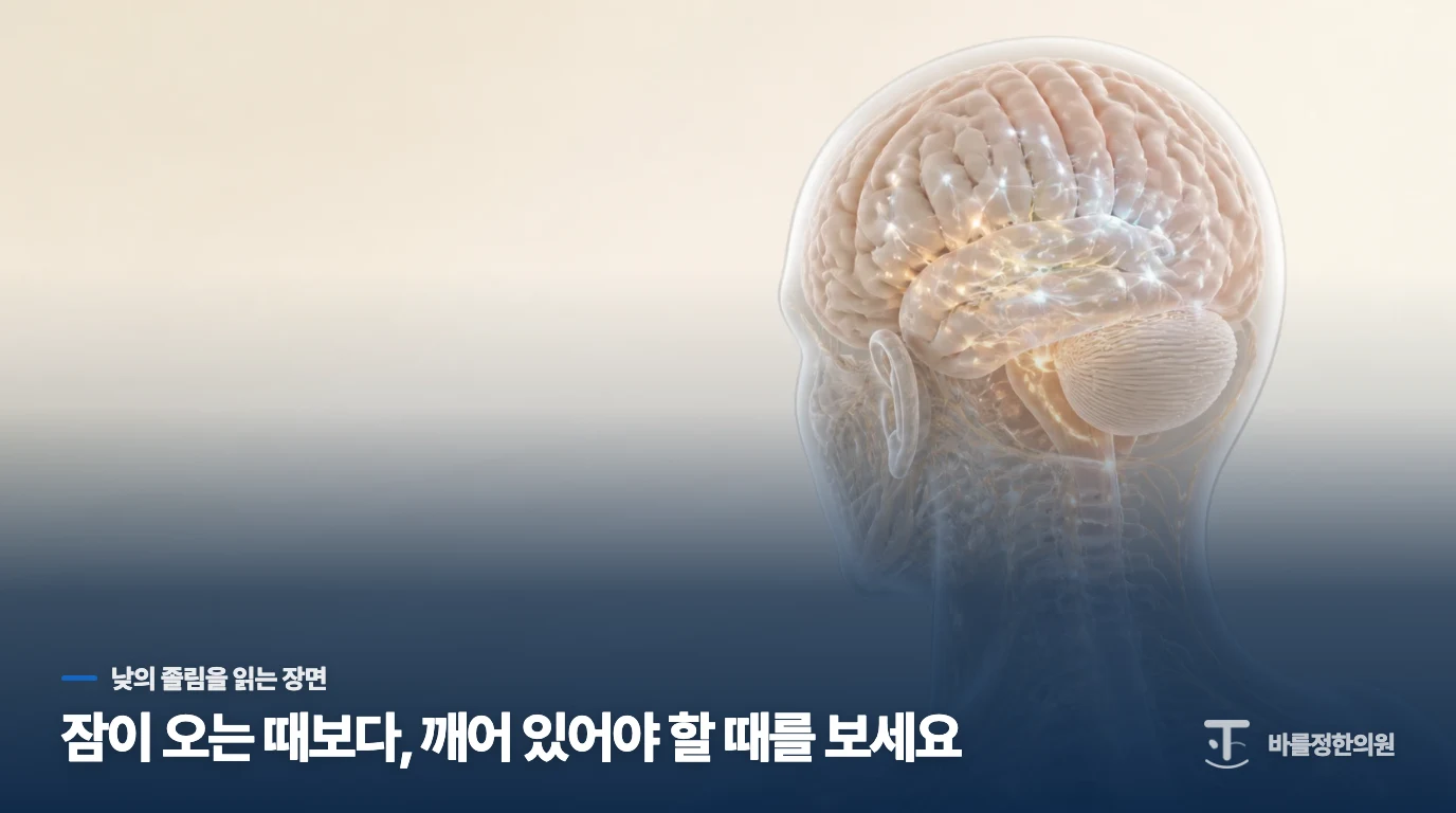 회의만 시작하면 눈꺼풀이 내려오는 이유