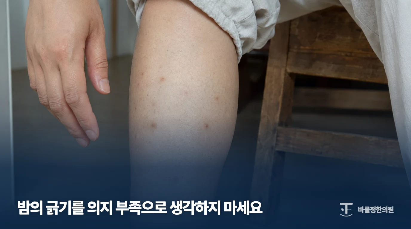 다리의 단단한 돌기를 보여주는 결절성양진 설명 이미지