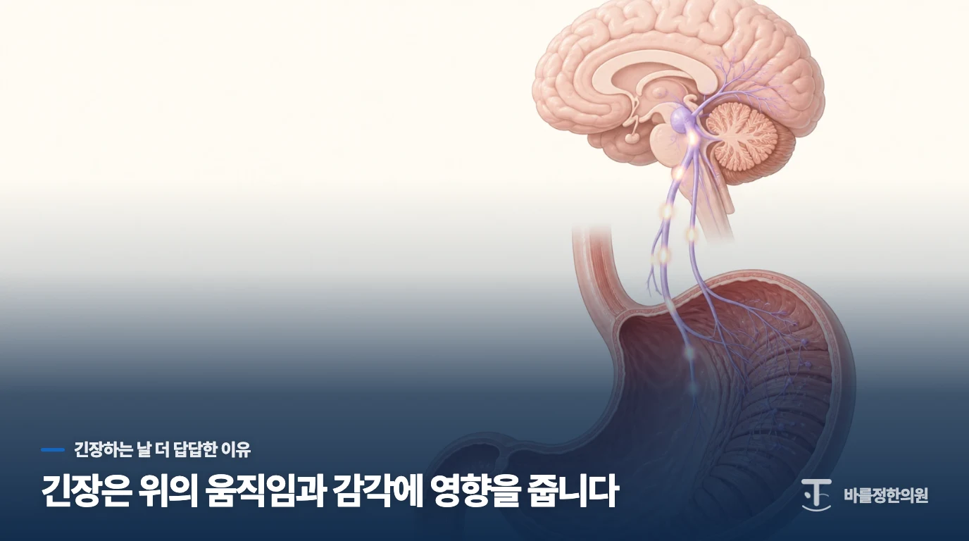 긴장은 위의 움직임과 감각에 영향을 줍니다