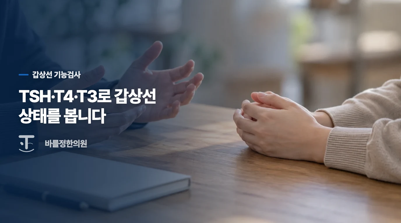 TSH·T4·T3 혈액검사로 기능을 평가합니다