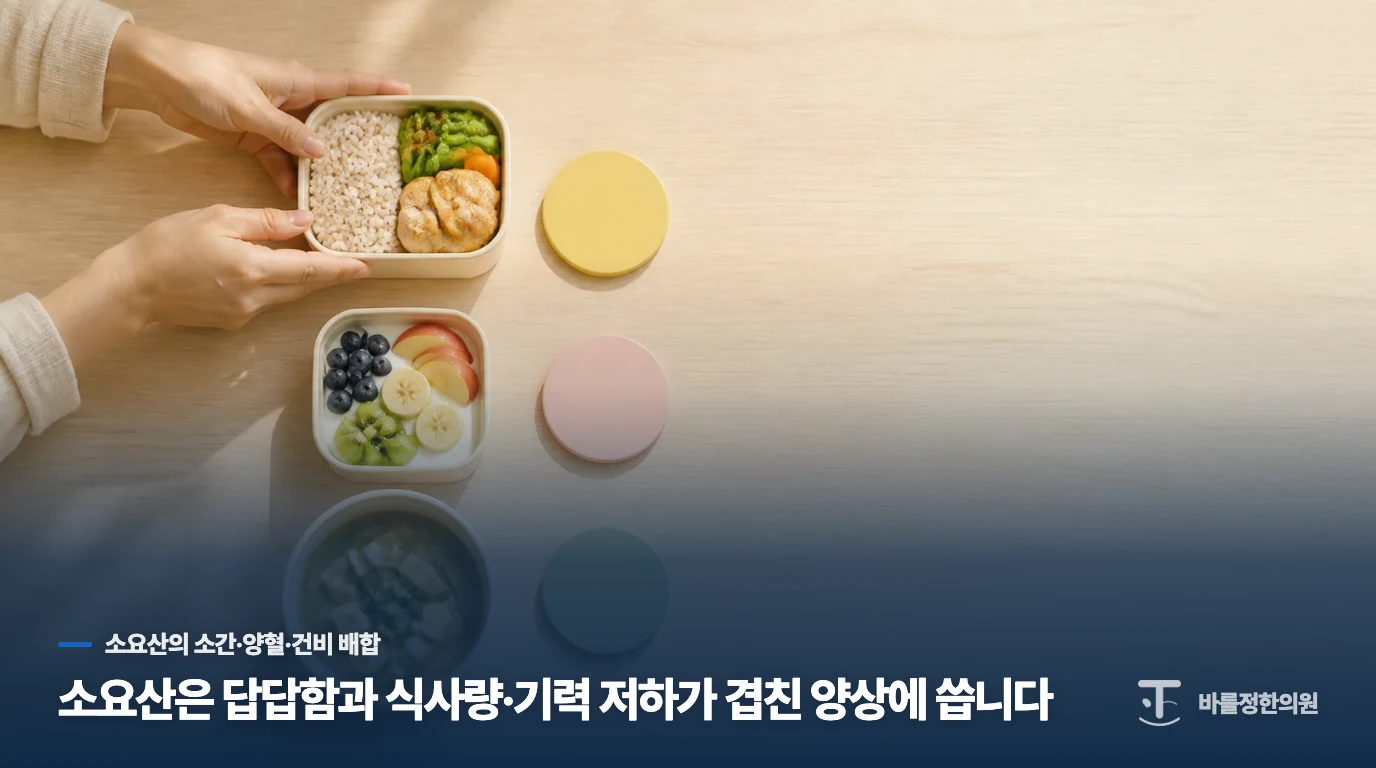 소요산은 답답함과 식사량·기력 저하가 겹친 양상에 씁니다