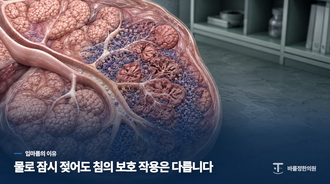 물을 마셔도 입안이 계속 마르는 이유